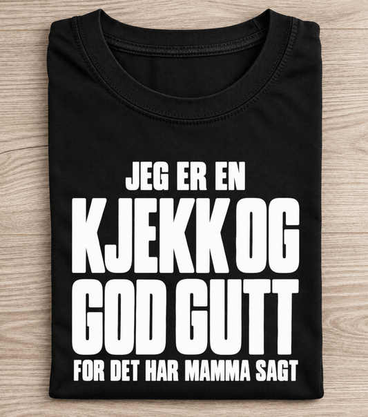 Ich bin ein hübscher und braver Junge T-Shirt
